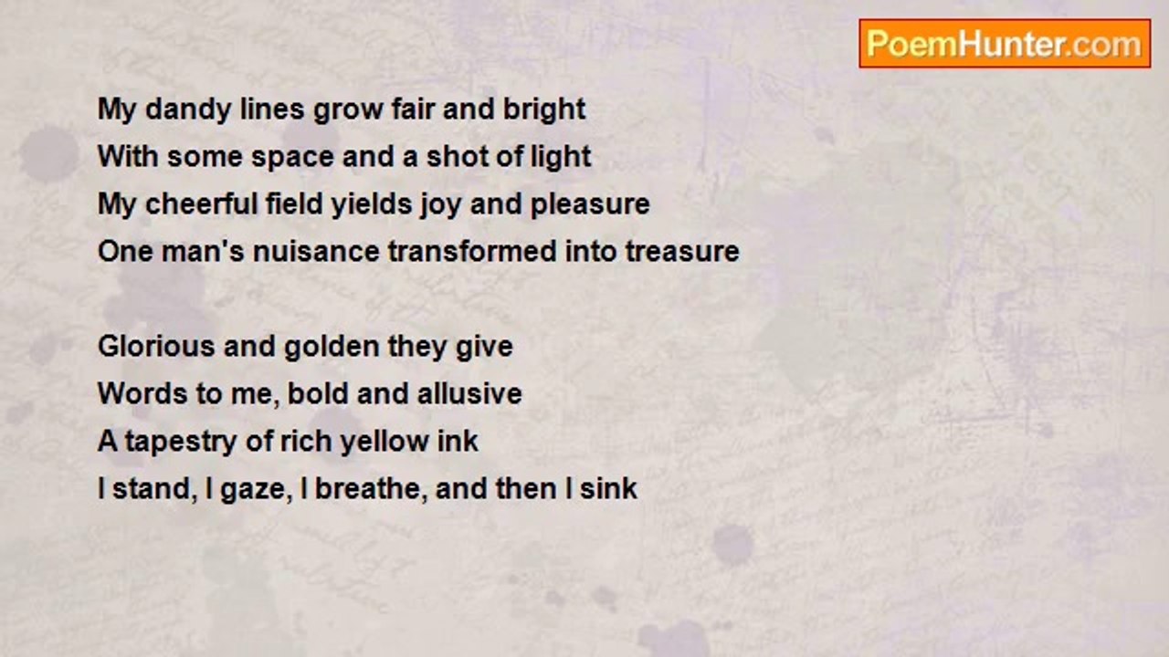 Abigail Pastor - My Dandy Lines