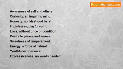 Dawn Ferrett - In a Child's Eyes