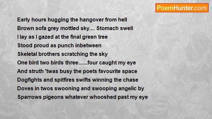 karen sinclair - Feathered Fatigue.....