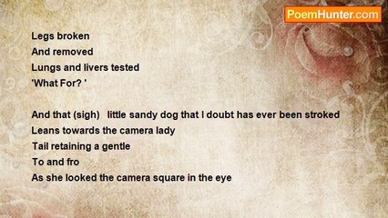 karen sinclair - Pet Feed..... Warning Sensitive Subject