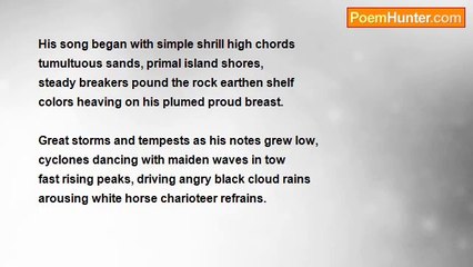 Captain Cur - Unwavering Grace, portrait poems