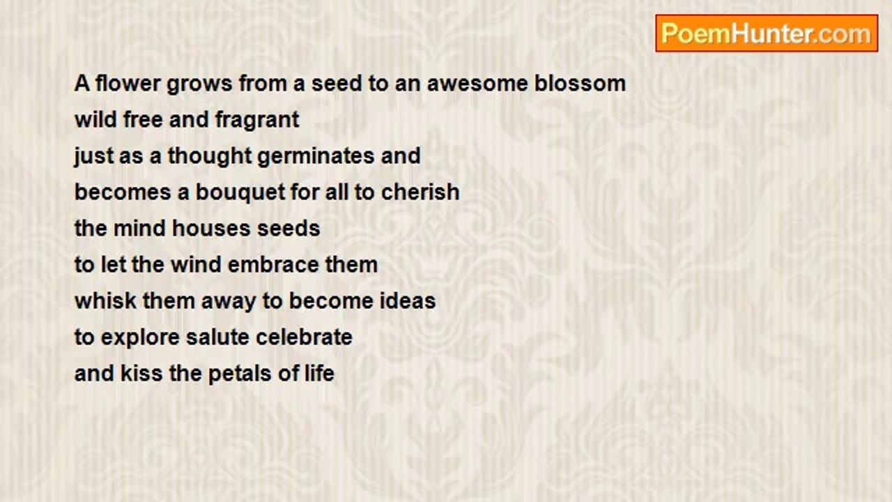 Sheena Datta - Creation