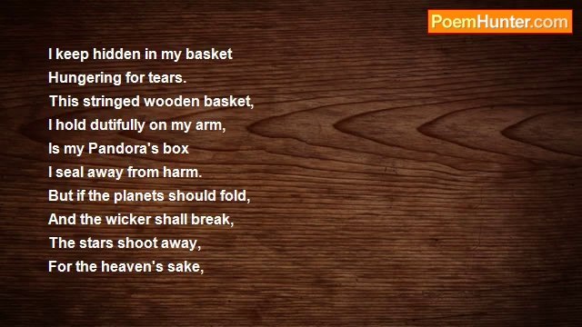 GEN Nelson - Basket Full Of Shadows