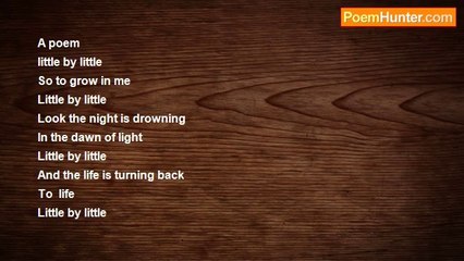 sallam yassin - Little By Little