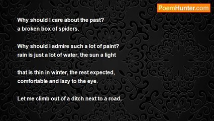 Leslie Philibert - Broken Box of Spiders