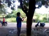 Fun With Monkey hahahaha Great video
