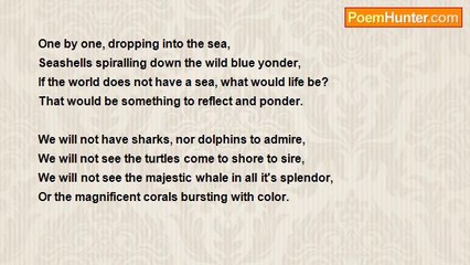 Philo Yan - SEASHELLS