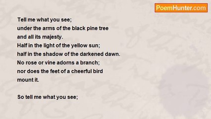 Ell Ell - The Black Pine Tree