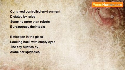 Indigo Wisdom - Concrete Jungle