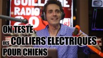 Guillaume Pley teste des colliers electriques pour chien en direct à la radio !!