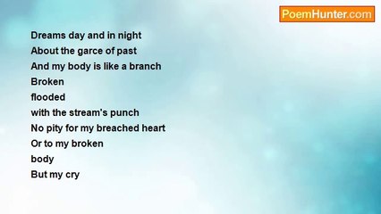 sallam yassin - Pity for no saying goodbye