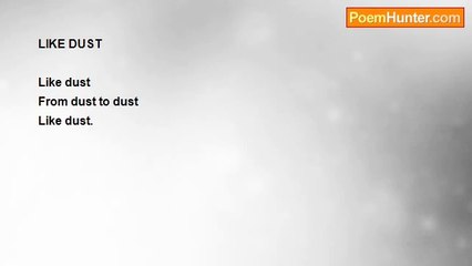 Shalom Freedman - Like Dust