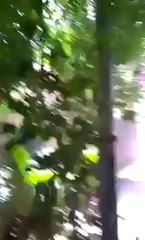 woman killed by punjab police