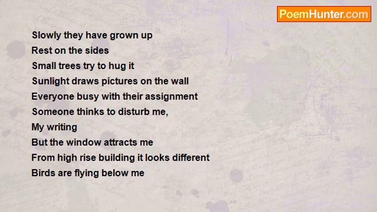 Litan Dey - The Wall