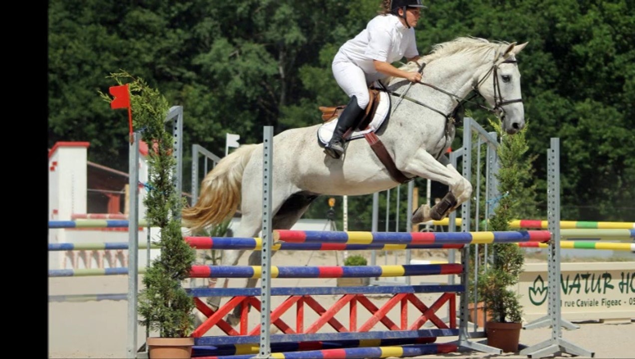 CSO HARAS DE GERBAL JUIN 2014