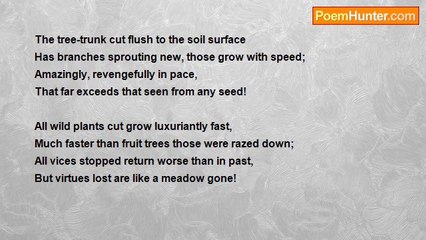 Dr John Celes - Sonnet: Amazing Growth