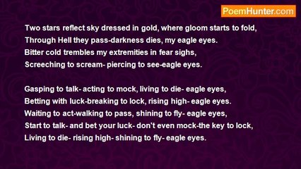 Looking Up. - Eagle Eyes