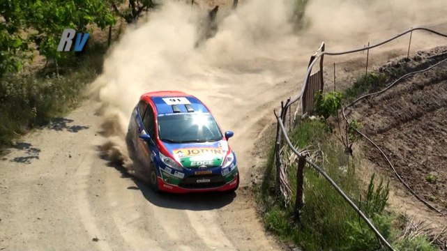 2014 Oyak Renault Yeşil Bursa Rallisi / Ümit Can Özdemir - Afşin Baydar / Ford Fiesta R2
