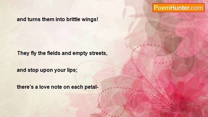 Whispers Of Night - White roses