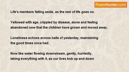 RoseAnn V. Shawiak - Falling Life