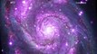Whirlpool Galaxy Hosts X-Ray Sources Orbiting Sun-Like Stars