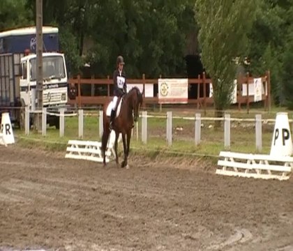 Mégane et Odra, Dressage Amateur 2 CCE, Pibrac, 31 mai 2014