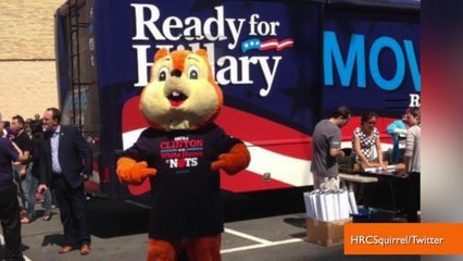 Giant Squirrel is Following Hillary Clinton on Her Book Tour