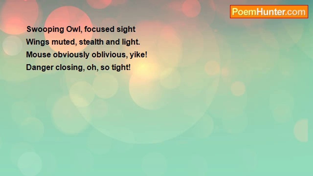 Philo Yan - Owl Swoop