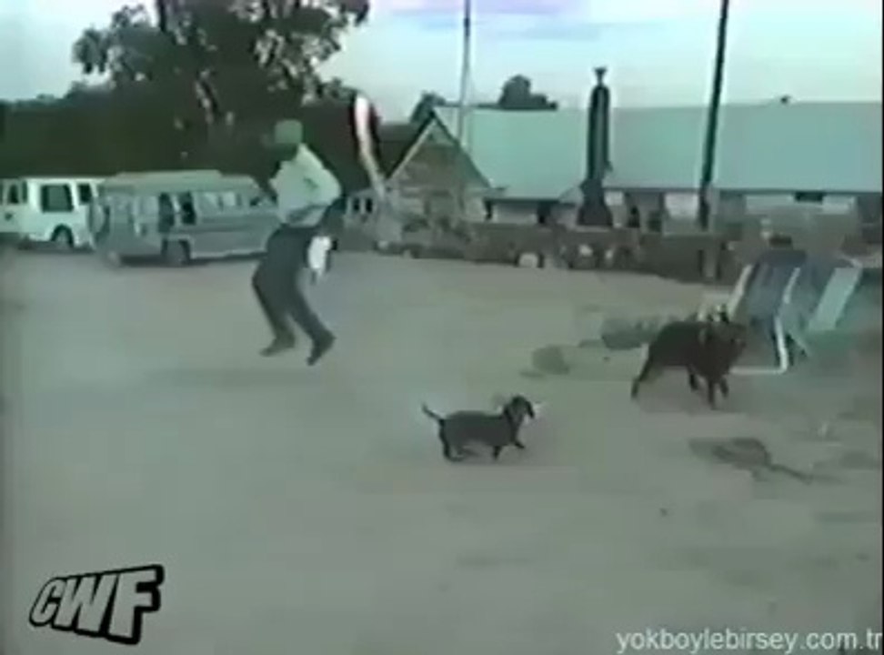 Biri bu iti durdursun.