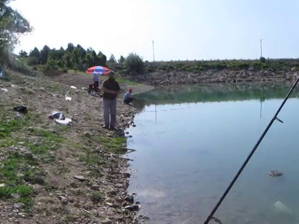 MVI_6561