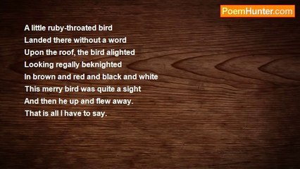 Quel Saige - A Little Ruby-Throated Bird