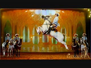 At - Atlar -Horse Fight Big - Horses   (4)