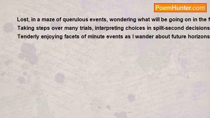 RoseAnn V. Shawiak - Wandering The Future