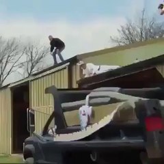 funny jump amazing..