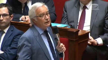 François Rebsamen, questions au gouvernement du 18/06/2014