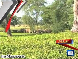 Dunya News - Headlines 20PM - 18-06-14