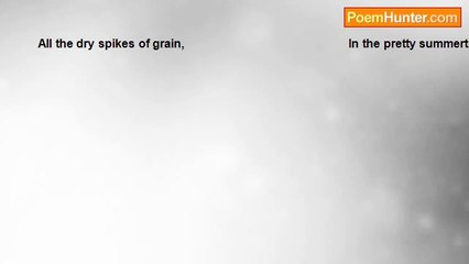 MOHAMMAD SKATI - THE SPIKES OF GRAIN