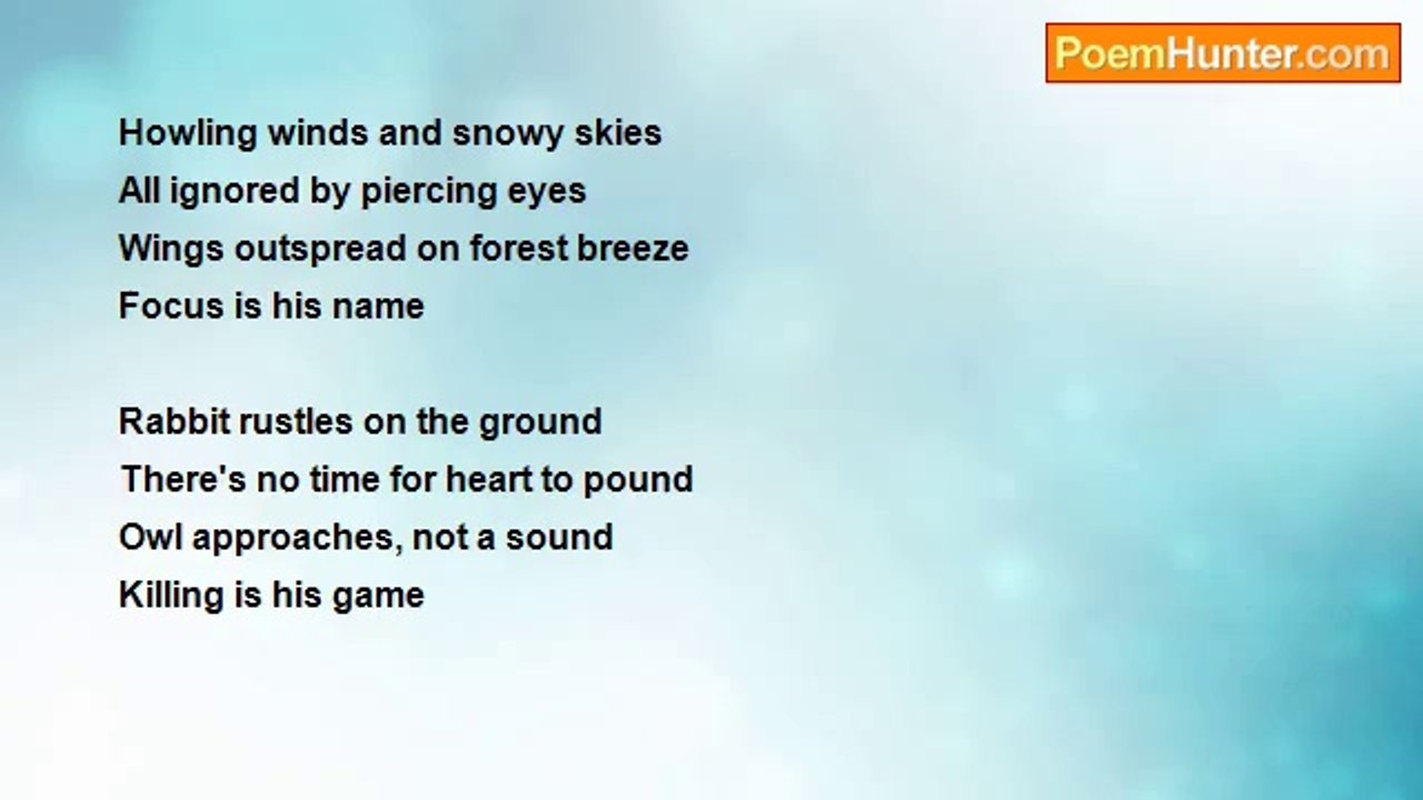 Robert Lindsay - Owl In Winter