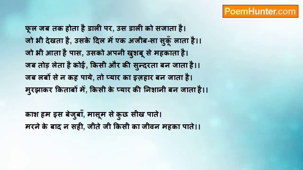 Adish Jain - A flower