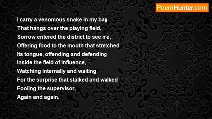 Naveed Akram - Snake In A Bag