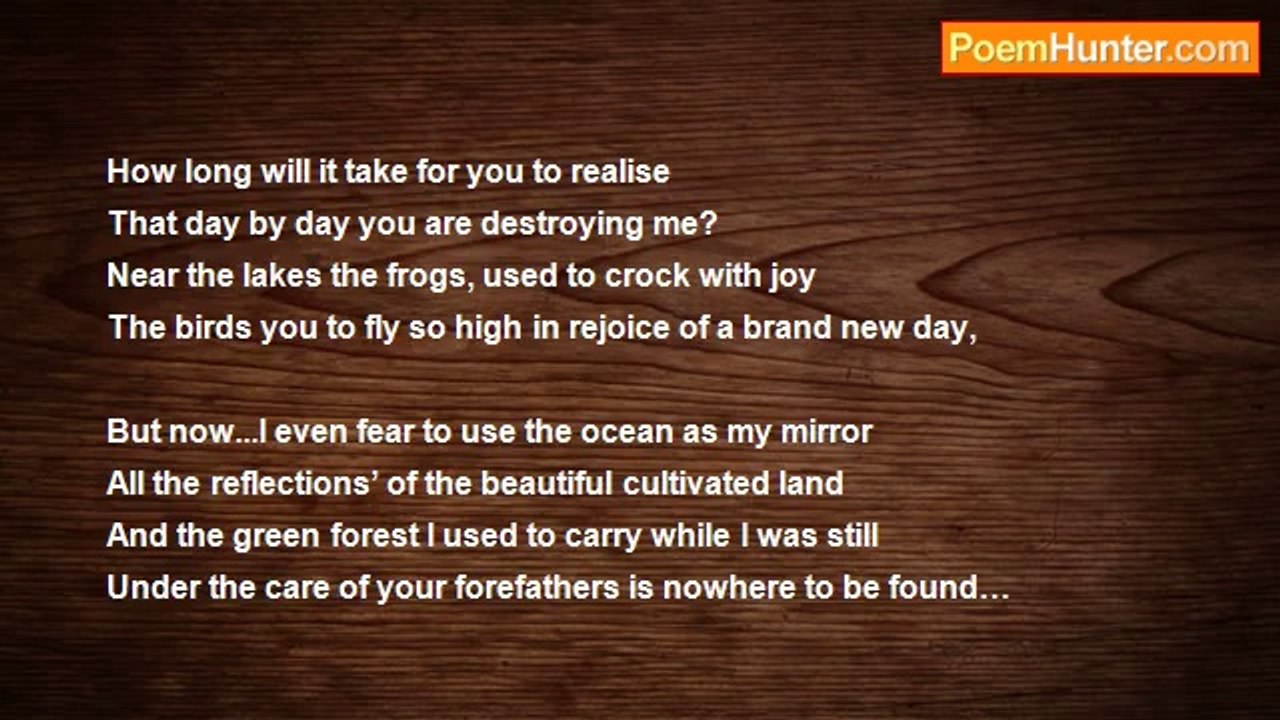 zandile zoya - “A letter from the Earth”