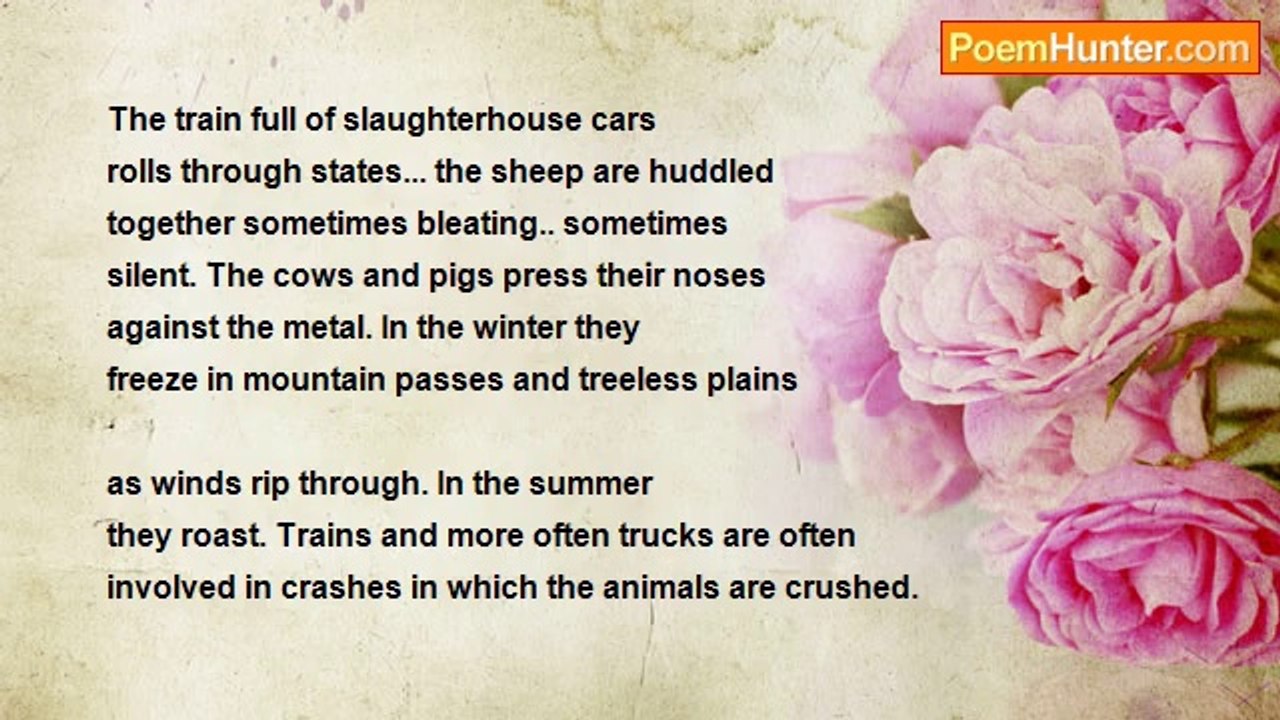 Saiom Shriver - Slaughtet Train