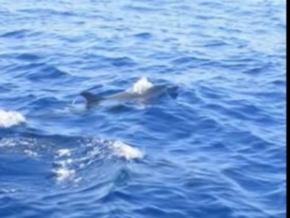 Mer et phares