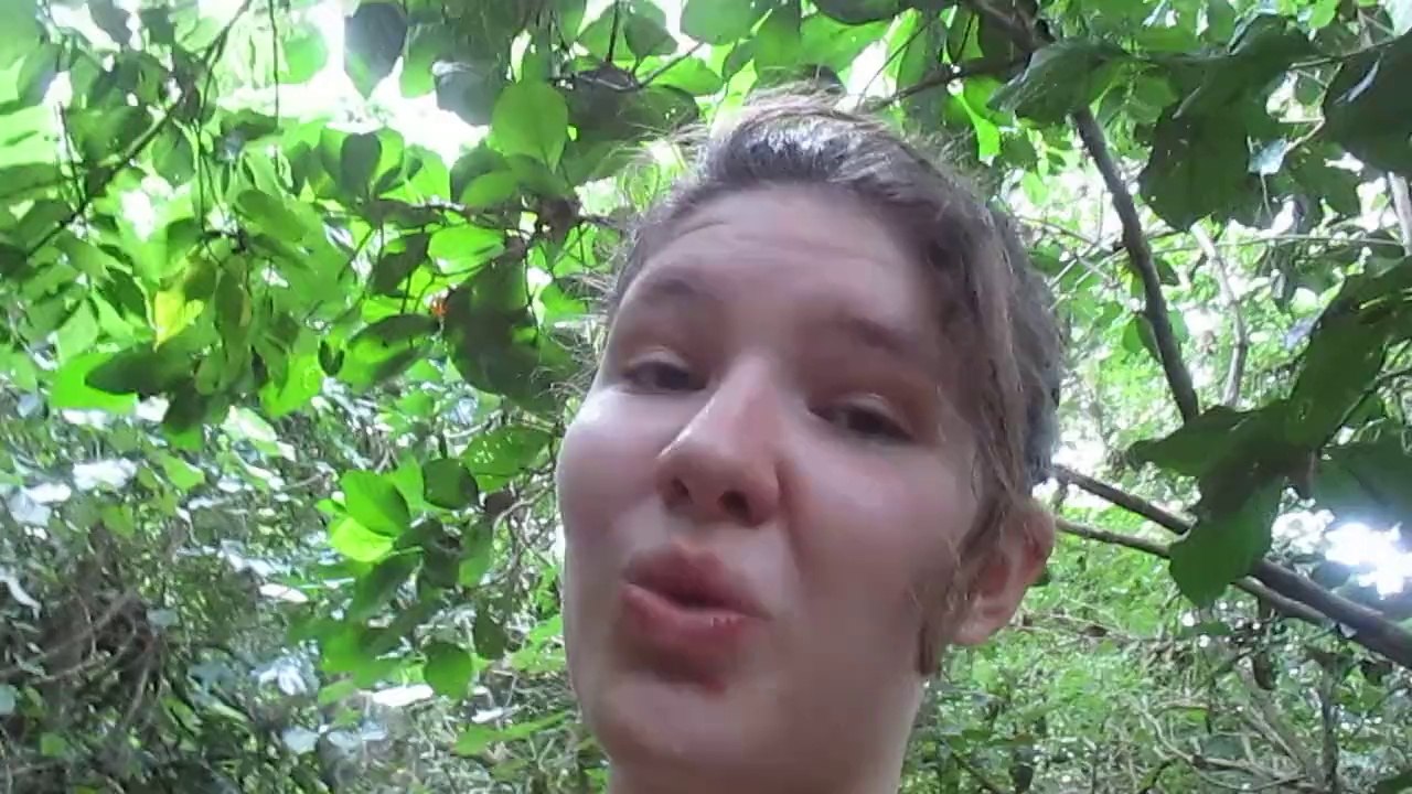 3ème jour, sur le chemin...