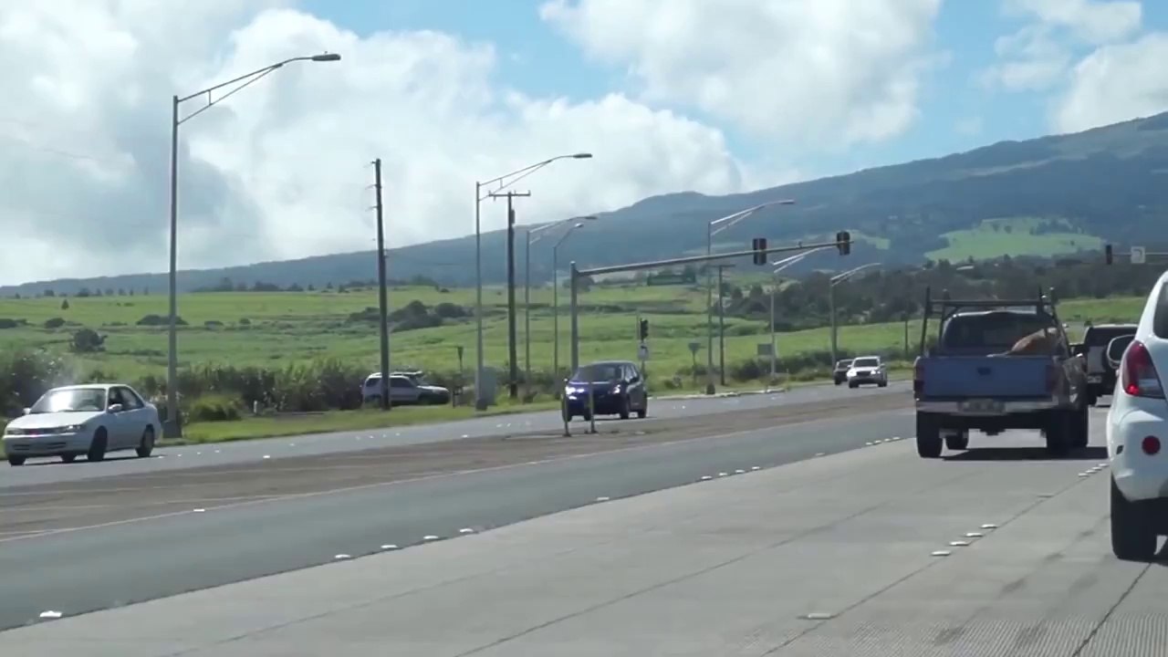 Funny Dog Can't Make Up His Mind