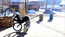 INSANE BMX Parkour Tricks Compilation