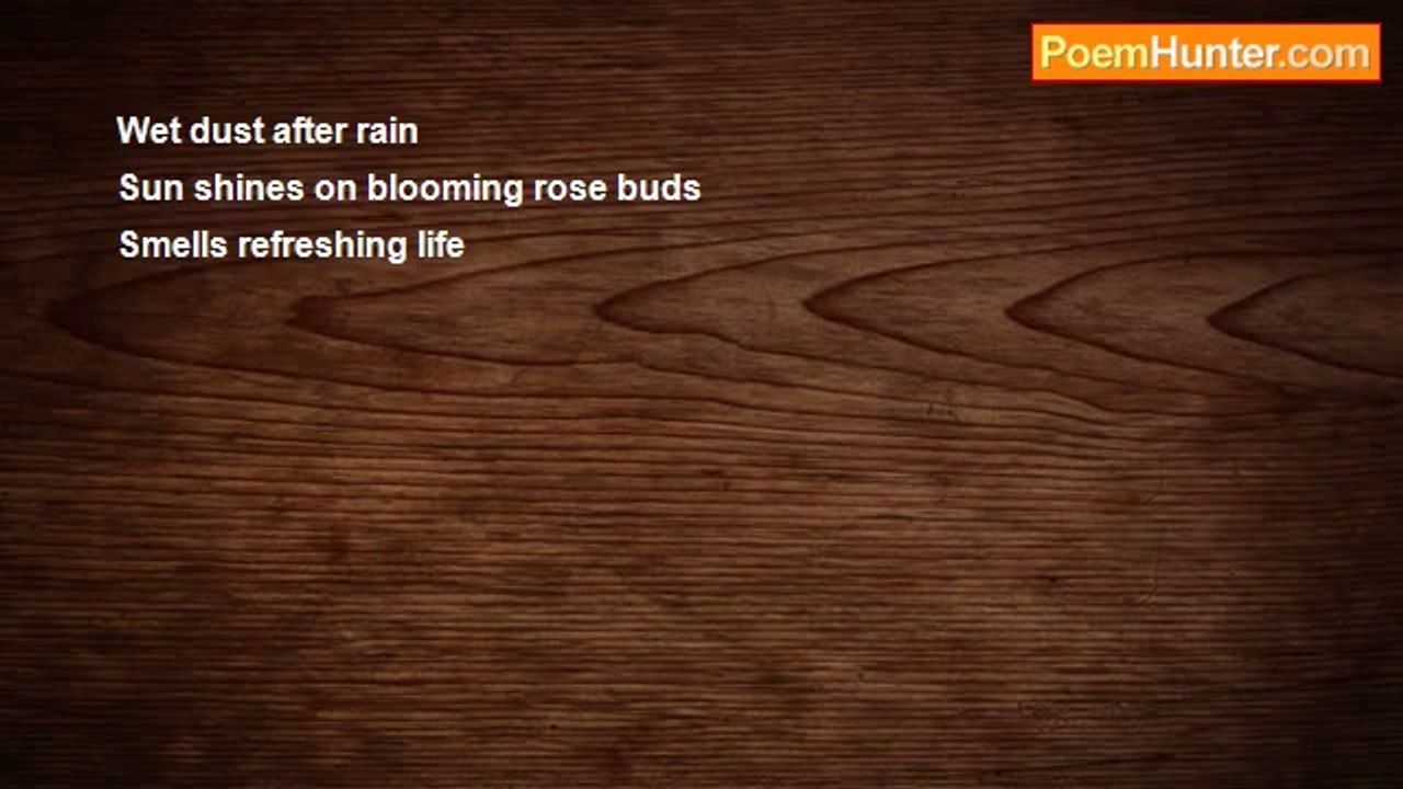 Mihaela Pirjol - Rain (Haiku)