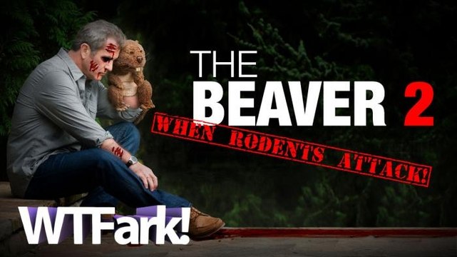 THE BEAVER ATTACKS: Upstate New York Beaver Attacks Kayaker. No, Not THAT Kind of Beaver. The Other Kind. Sickos.