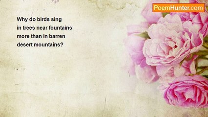 Saiom Shriver - Water And Birdsong