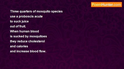 Saiom Shriver - Fruiteating Mosquitoes